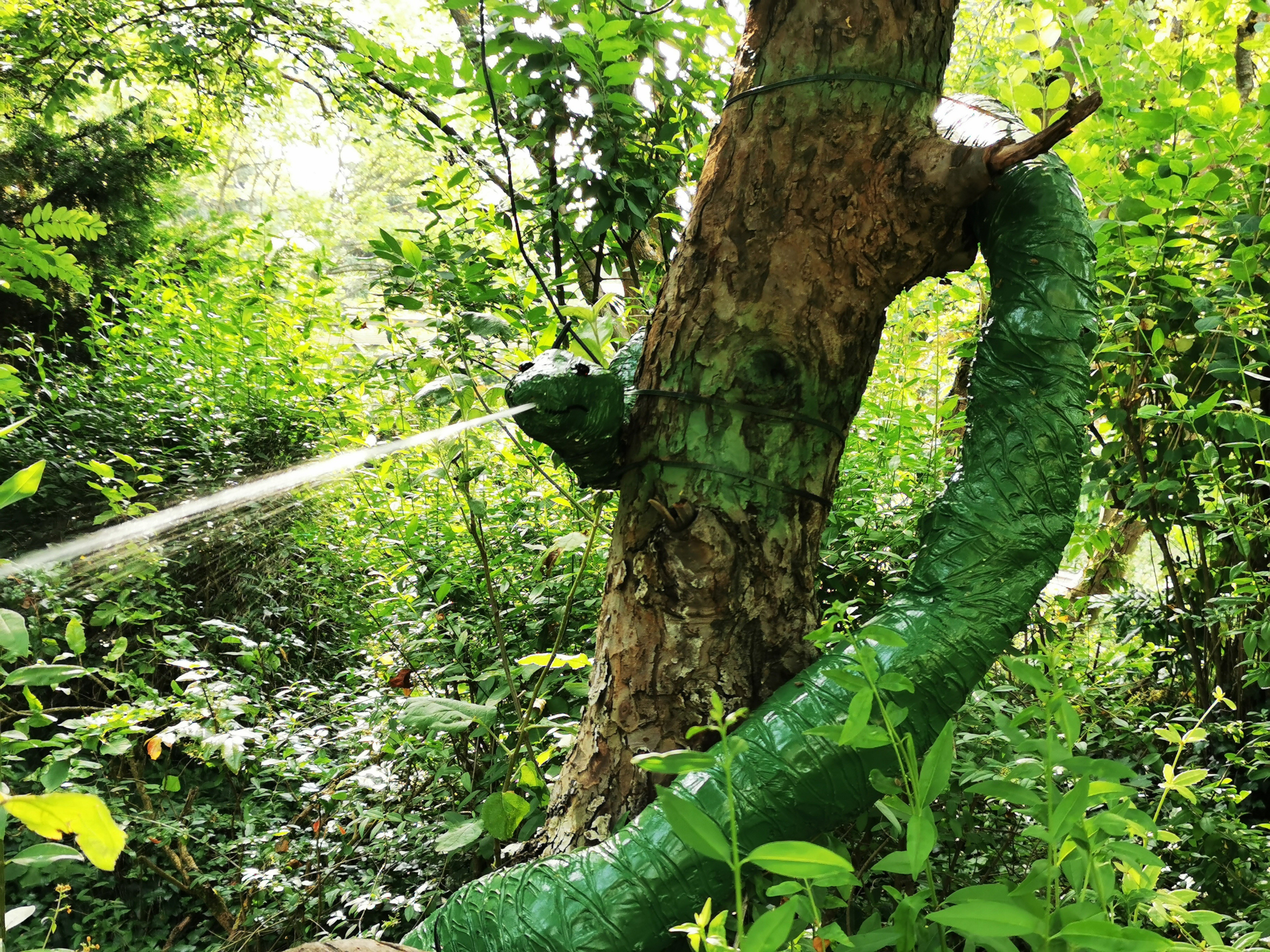 Schlange Im Garten Eden Freizeitparkcheck