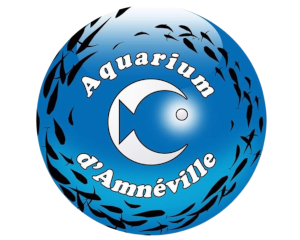 aquariumamneville.png