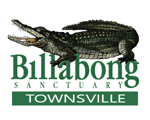 Billabong-Wildlife-Sanctuary.png