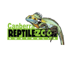 reptile.png