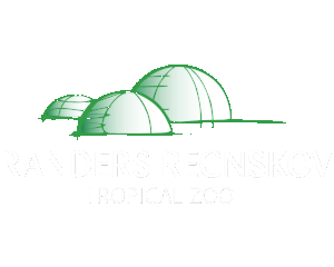 randers logo-white.png